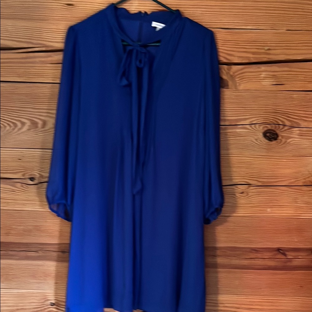Calvin Klein Blue Tie Front Bishop Sleeve Dress